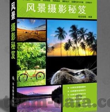日本与马里足球比分-日本与马里足球对决，比分背后的战术博弈与未来展望